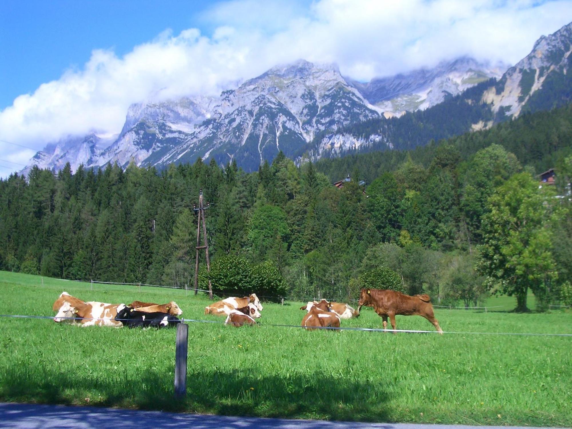 Villa Haslehnerhof Ramsau am Dachstein Exterior foto